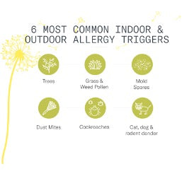 Common Allergy Triggers