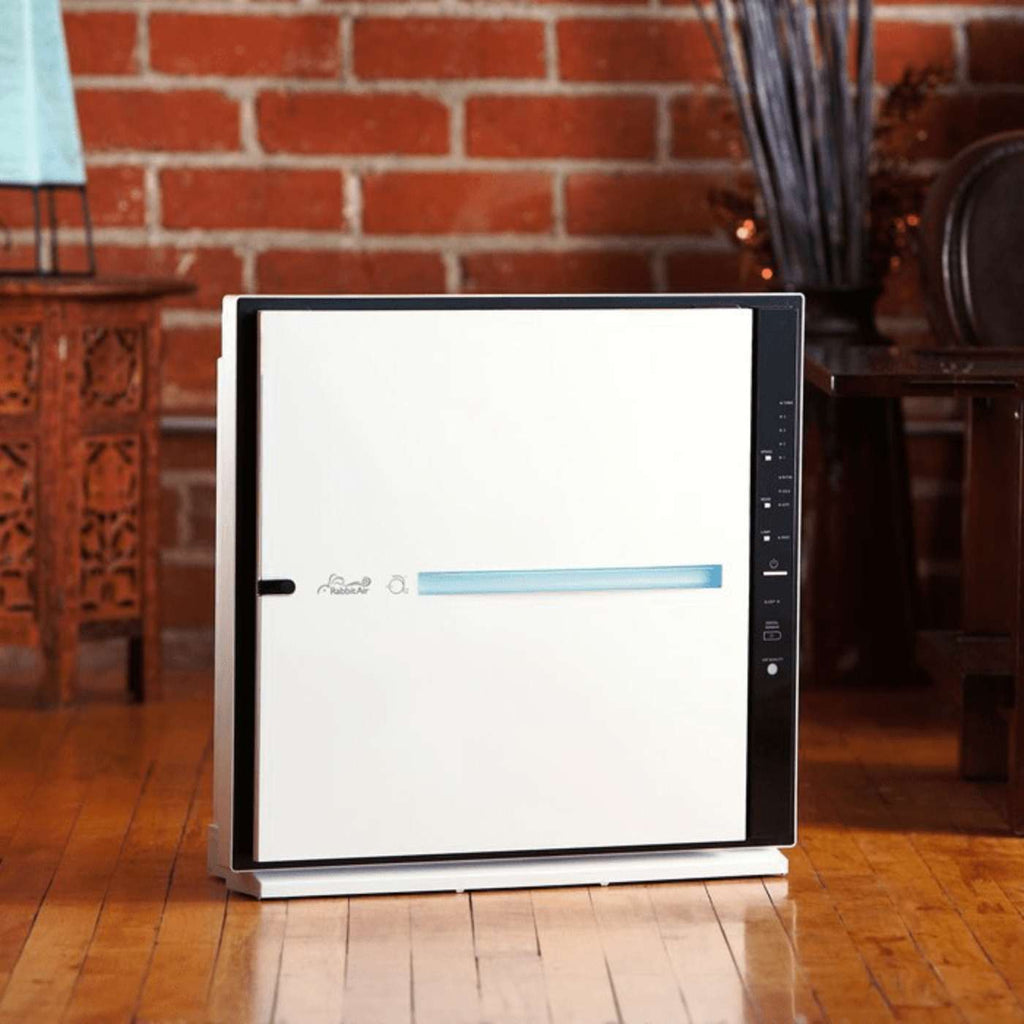 Rabbit Air MINUSA2 air purifier shown in room