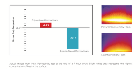 Essentia Heat Test Results