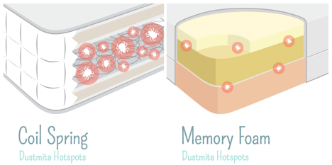 spring vs memory foam